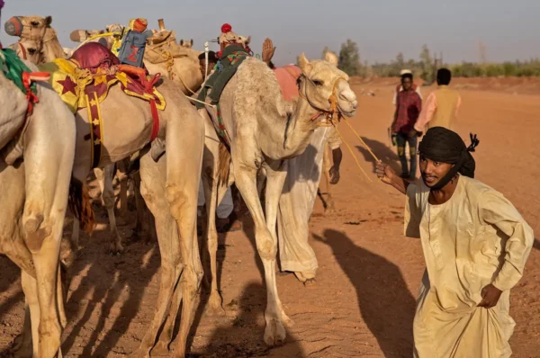 Si riaccende la guerra in Darfur: scontri armati al confine tra Ciad e Sudan, morti e feriti per furti di dromedari