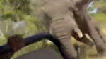 skynews-elephant-safari_6509460